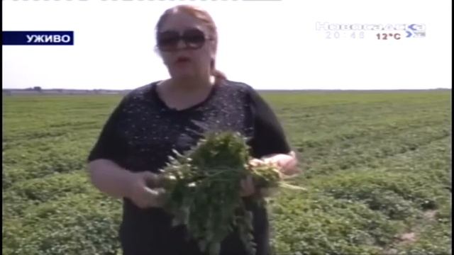 EMISIJA OTKOS   30 09 2017