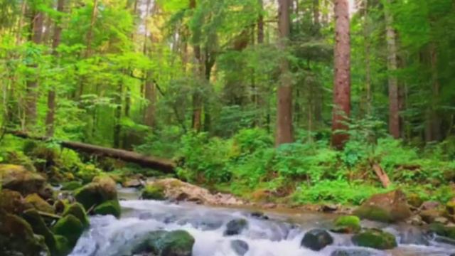 Необыкновенный релакс, музыка природы. Meditation Music, Relaxing Music, Yoga Music, Nature Music смотреть онлайн