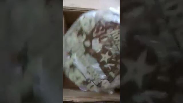 часики в подарок воспитателям и логопеду смотреть онлайн