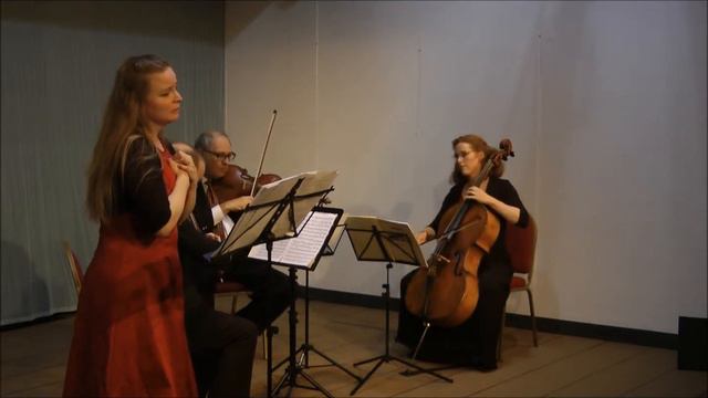 Schubert medley, Afton Strings Moffat recital смотреть онлайн