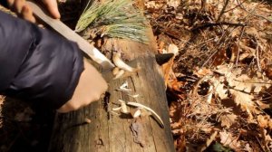 Как режет Манси нож, делаю доступные ножи по типу Манси эра (Кузница Вещий Лес Vk)