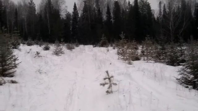 Тест Иноходца по полевым муравейникам смотреть онлайн