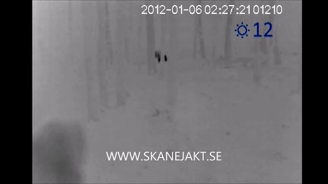 Pulsar Quantum HD19S смотреть онлайн