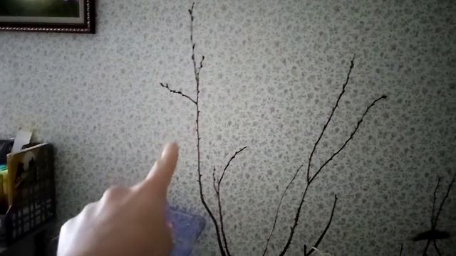 Не до снялось видео!!! Новый стенд! смотреть онлайн