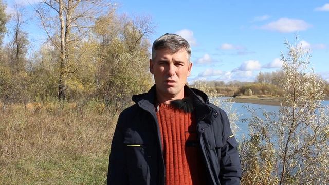 свиноматки !или свиньи на откорм?выгодно ли свиноводство. смотреть онлайн