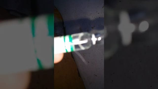 Ваша кошка чихает и кашляет, тяжело дышит открытым ртом.... смотреть онлайн