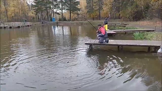 Поплавок, бомбарда, спиннинг... Клёвое место, Лосиный остров, верхний водоём. смотреть онлайн