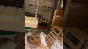 Недремлющий страж.. До конца