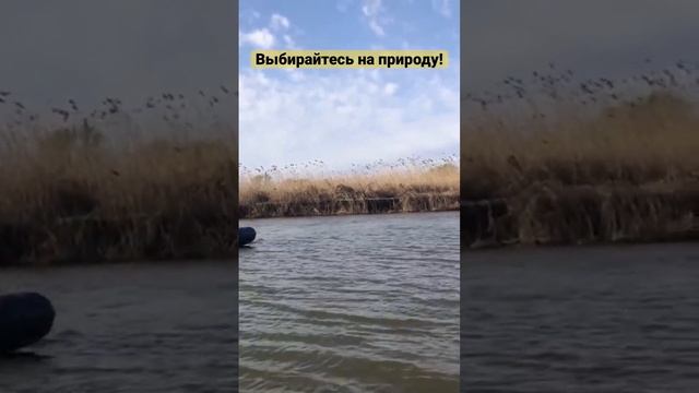 РЫБАЛКА ЭТО БОМБА! #астрахань #рыбалка смотреть онлайн