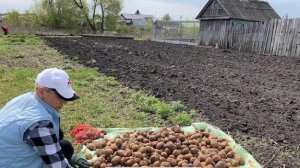 ПЕРВЫЕ САЖЕНЦЫ/ПОСАДКА КАРТОФЕЛЯ/ТЯЖЕЛАЯ ТЕХНИКА НА УЧАСТКЕ