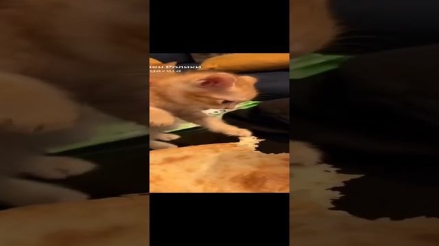 мой кусок
????????