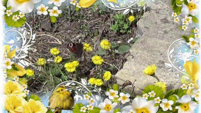 С Вербным воскресеньем друзья! Моё сочинение на музыку Н. Рыбникова. смотреть онлайн