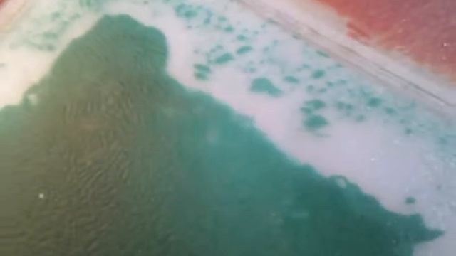 Производитель живой плитки в России смотреть онлайн
