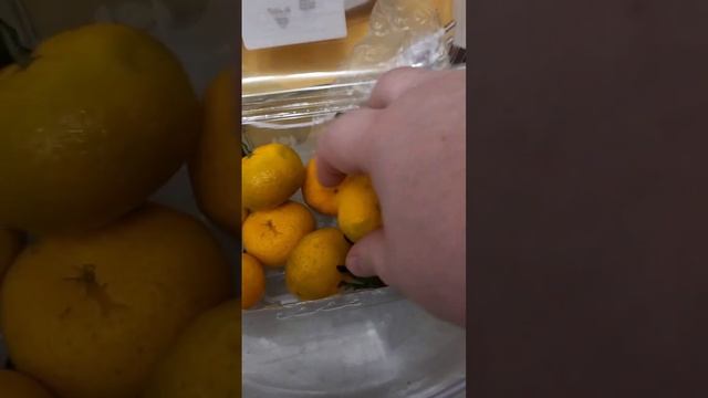 Отличные мандарины из озон фреш, ищите фото на озон с оранжево-зелеными мандаринами #озон #мандаины смотреть онлайн