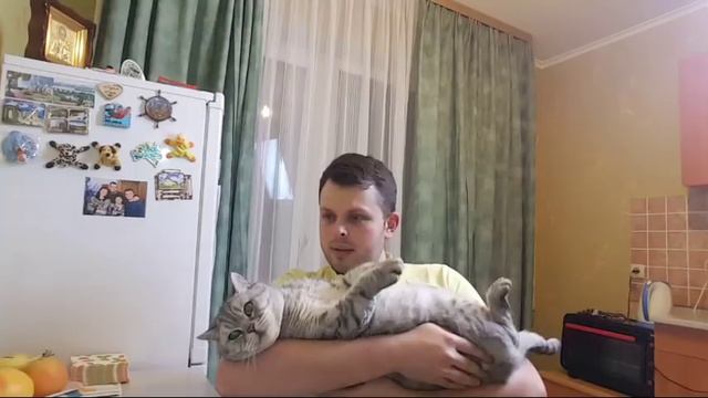 КУПИЛ БИЛЕТЫ И ПОЛЛО ОТ ЮДАШКИНА смотреть онлайн