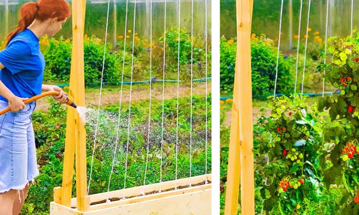 Садовые лайфхаки смотреть онлайн