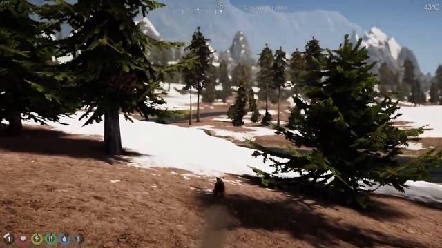 Escaping danger as a little Fox in The Wilds смотреть онлайн