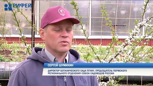 Зеленый участок. Искусственное опыление плодовых деревьев смотреть онлайн