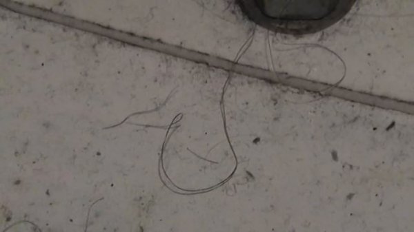 Fitness Stepper - Review