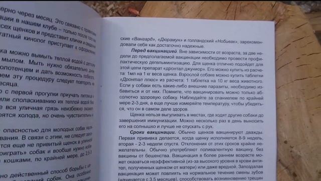 Друг для охоты "Щенок русской спаниели" смотреть онлайн