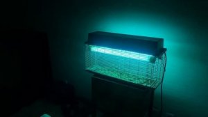 ЭЛЕКТРИЧЕСКАЯ ЛОВУШКА ДЛЯ НАСЕКОМЫХ