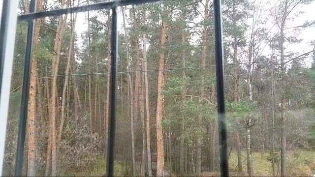 ПОМОГЛИ ВАМ ВАШИ ЛЯХИ (8.11.2020) смотреть онлайн