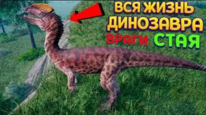 ВСЯ ЖИЗНЬ ДИНОЗАВРА - СТАЯ, ВРАГИ, ЕДА, ОХОТА ( The isle )