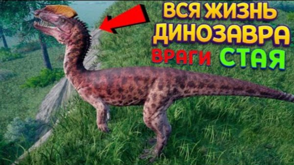 ВСЯ ЖИЗНЬ ДИНОЗАВРА - СТАЯ, ВРАГИ, ЕДА, ОХОТА ( The isle )