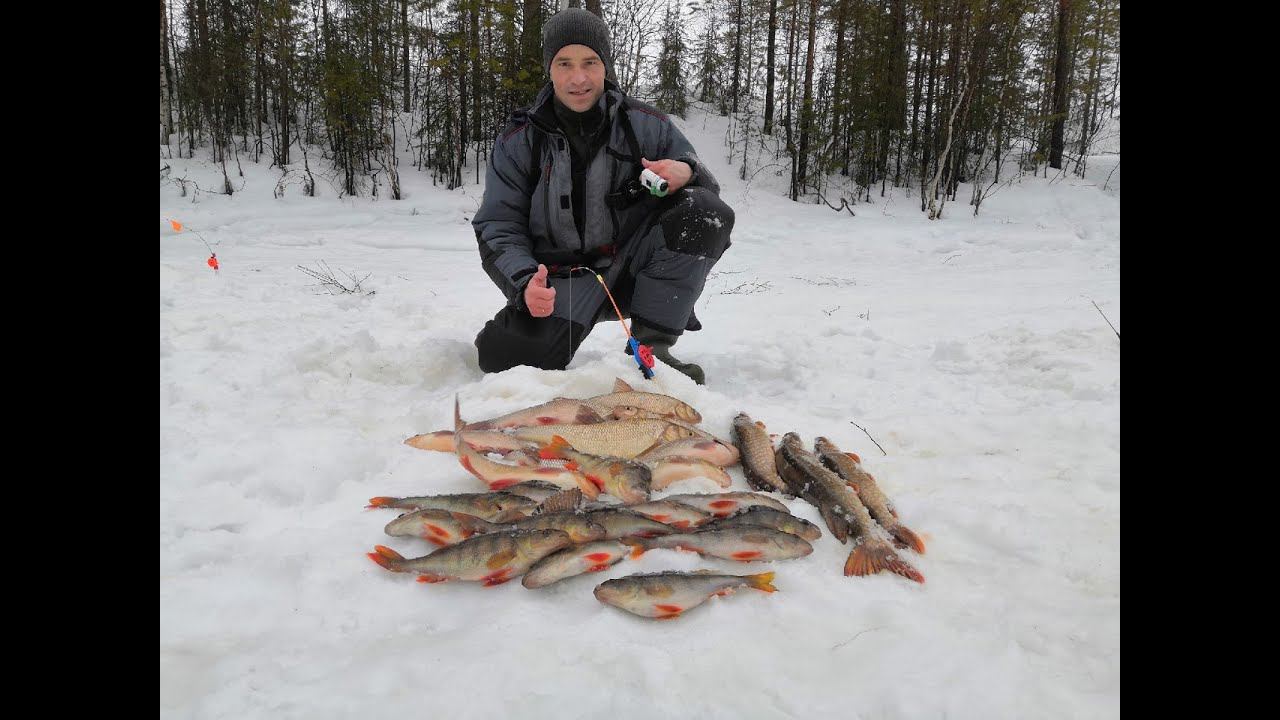 ЗИМНЯЯ РЫБАЛКА НА ЯМАЛЕ ВЕСНОЙ, ТОЛЬКО ДОСТАЛ ЩУКУ РЯДОМ УЖЕ ЯЗЬ КЛЮЕТ. ВЕСЁЛЫЕ СТАРТЫ. смотреть онлайн