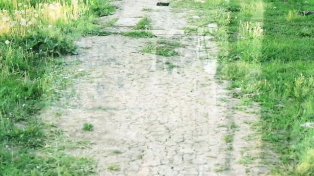 Энгельс Летка смотреть онлайн