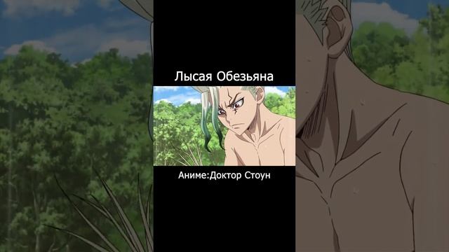 Лысая Обезьяна смотреть онлайн