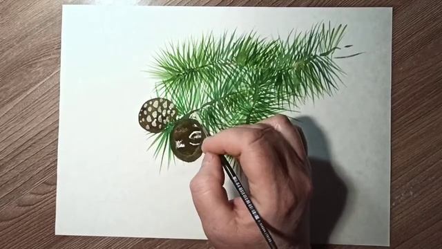 Сосновая ветка с шишками. смотреть онлайн