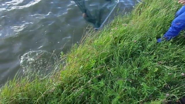прикол на рыбалке! funny fishing смотреть онлайн