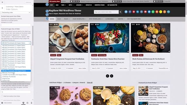 Customizer Theme Options - MagShow PRO WordPress Theme смотреть онлайн