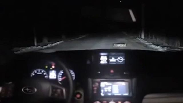 Lady Hits Puppy in Car.. See What Happens Next... смотреть онлайн