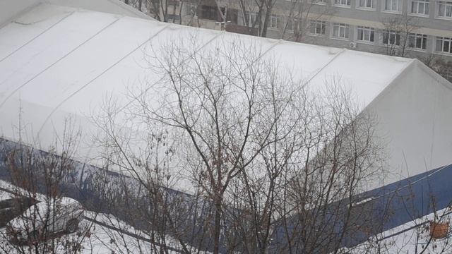 Вороны катаются с крыши) смотреть онлайн