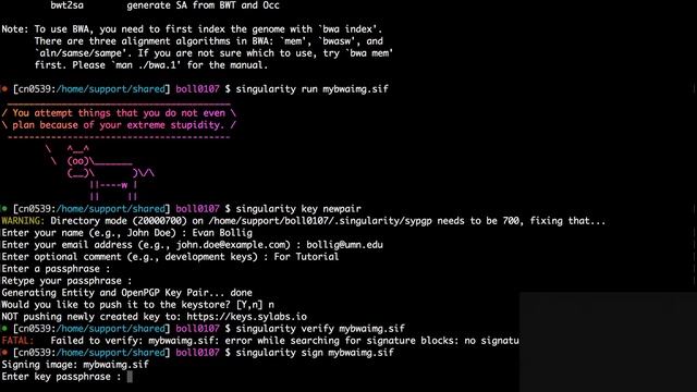 MSI LIVE Tutorial: Singularity & Containers смотреть онлайн