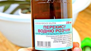 Перекись водорода для орхидей и растений # рецепт и полив орхидей перекисью