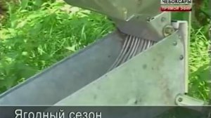 Устройство для очистки ягод от мусора. ТВ