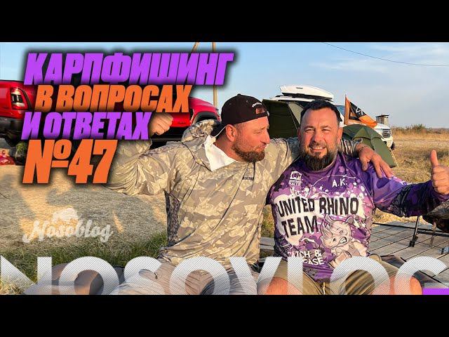Карпфишинг в вопросах и ответах #47, Колесников А., Миненко П. смотреть онлайн