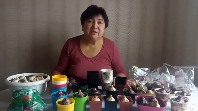 ПОСАДКА ГИАЦИНТОВ И ТЮЛЬПАНОВ ? смотреть онлайн