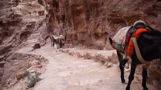 Иорданские сказки смотреть онлайн