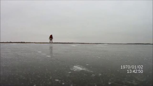 Оршинский Мох