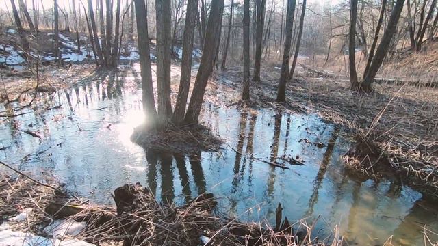 Весеннее ПУТЕШЕСТВИЕ. ОГРОМНЫЙ ручей!!! смотреть онлайн
