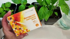 1 ТАБЛЕТКА и ЛЮБАЯ РАССАДА РАСТЕТ как на ДРОЖЖАХ, для МОЩНОЙ КОРНЕВОЙ