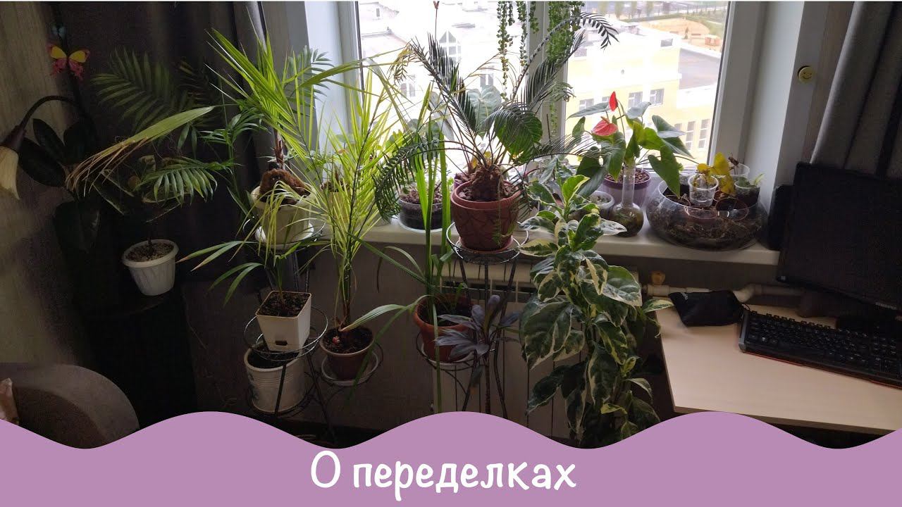 Цветочная переделка. Обзор изменений. Цветы. смотреть онлайн