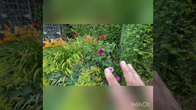 Planning for summer colour - Part 3, the results. смотреть онлайн