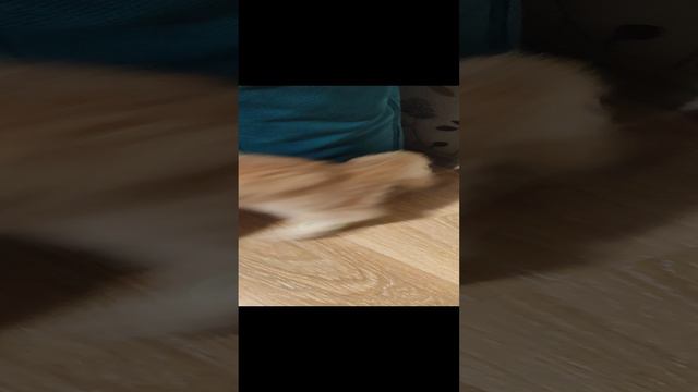 Расправа над резинкой)))