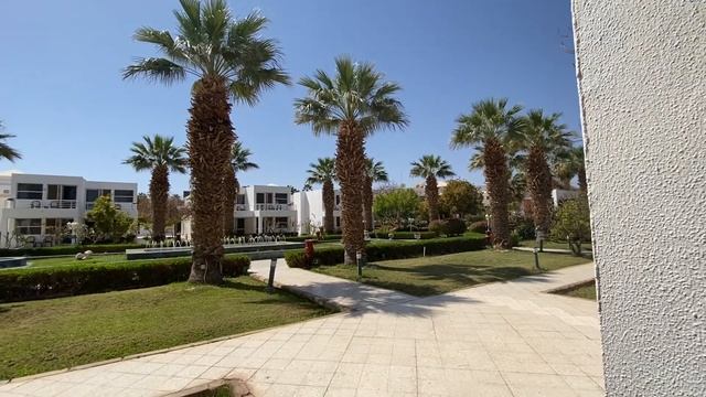 MARITIM JOLIE VILLE RESORT & CASINO 5*, Египет, Шарм-Эль-Шейх, подробный обзор отеля. смотреть онлайн