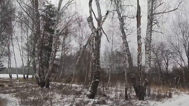 Москва | Брама в Домодедово смотреть онлайн